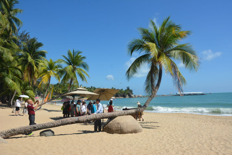 椰岛情深，海南暖阳下的友情传奇